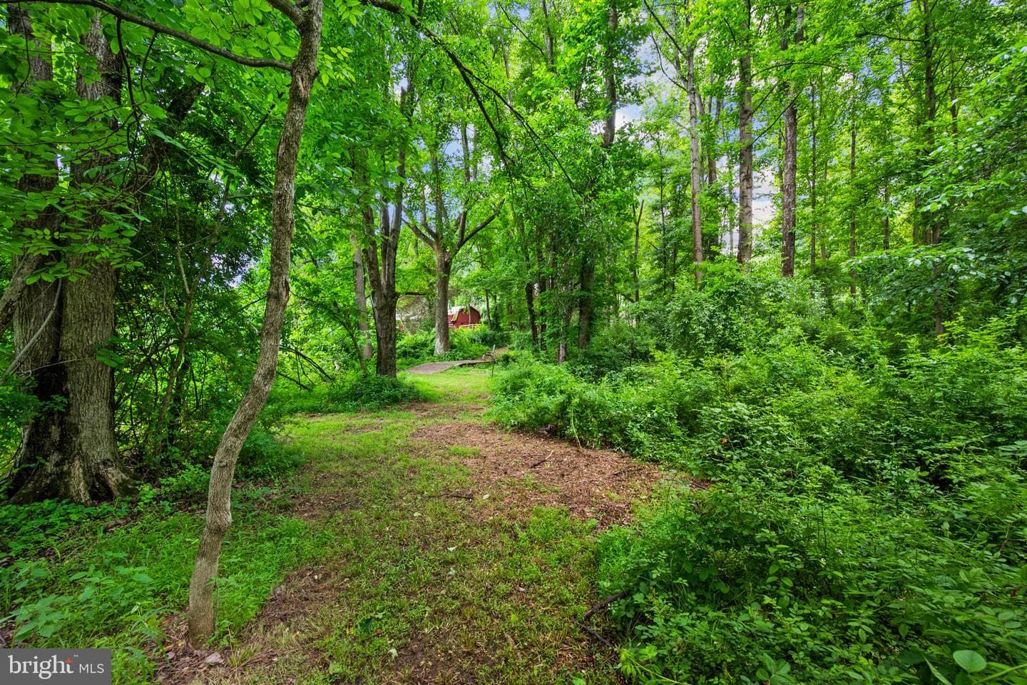 13112 Laurel Glen Road photo 39