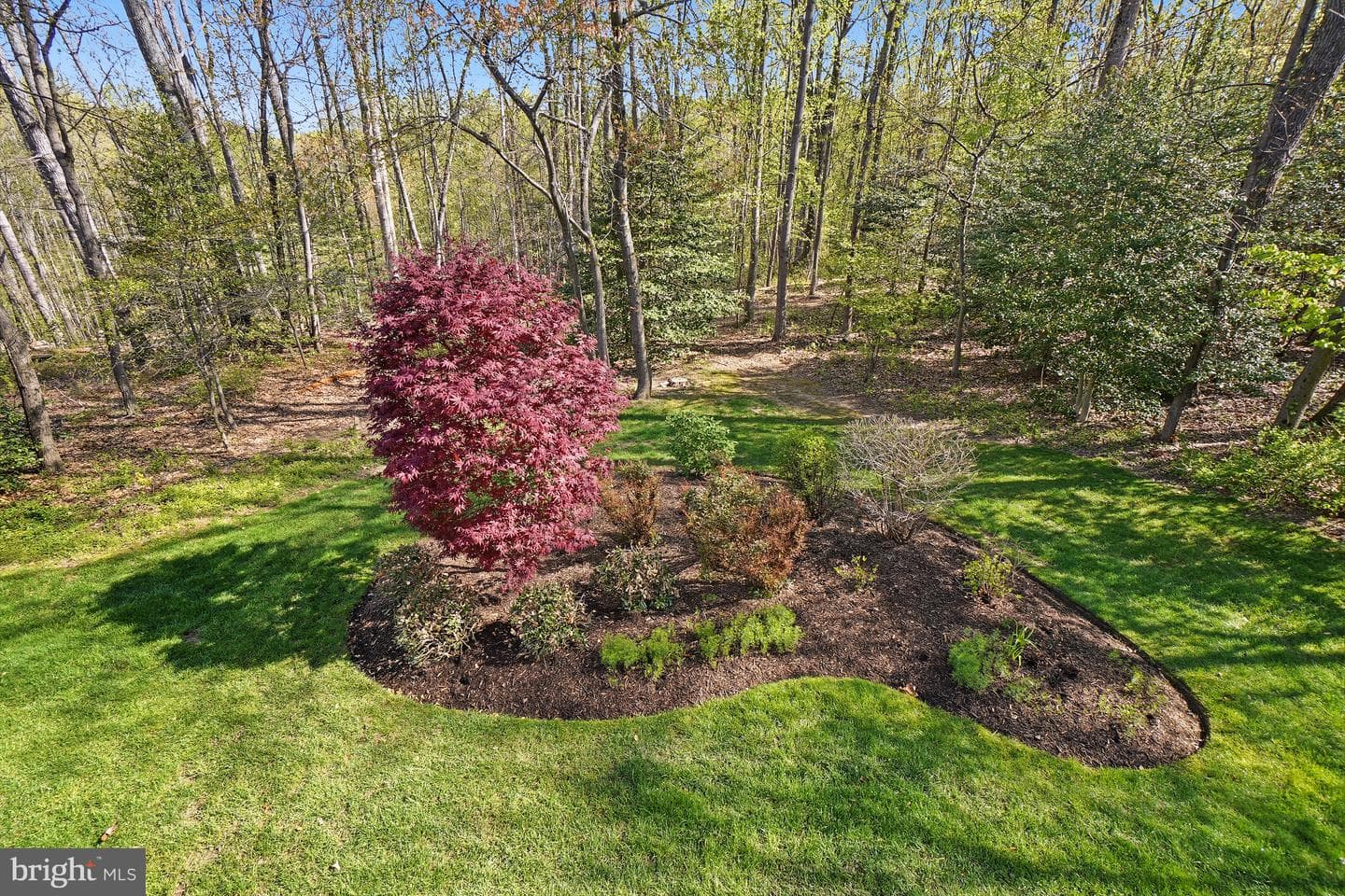 11638 Deer Forest Road photo 42