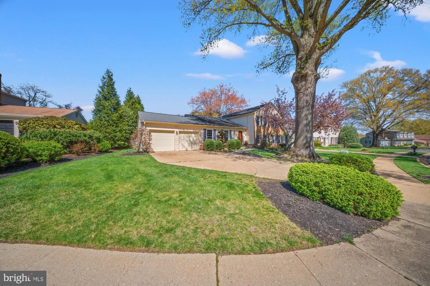 6212 Nethercombe Court photo 2