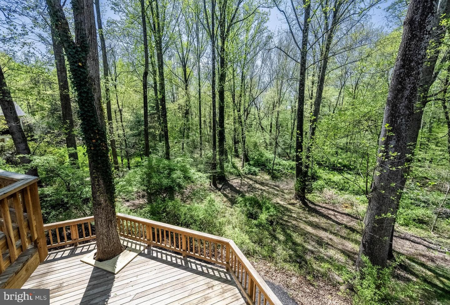 2906 Oakton Ridge Circle photo 39