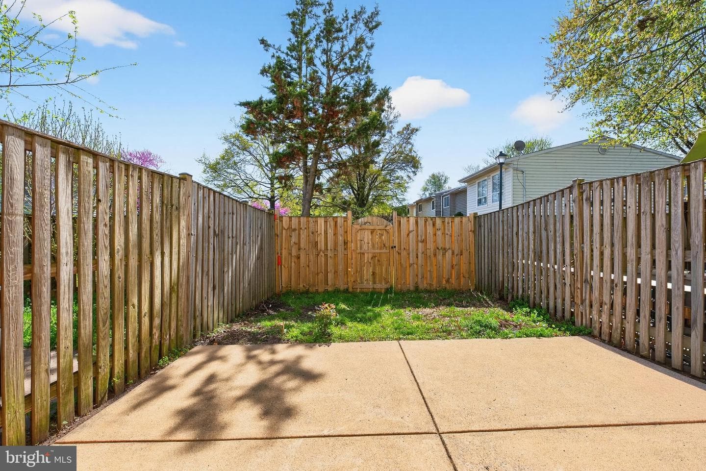 13209 Keach Place photo 19