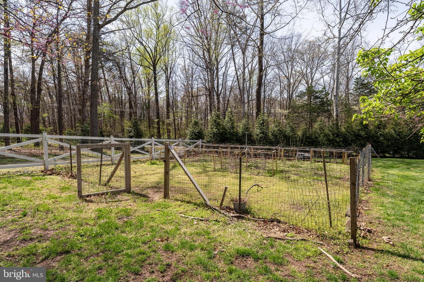7401 Bull Run Drive photo 44