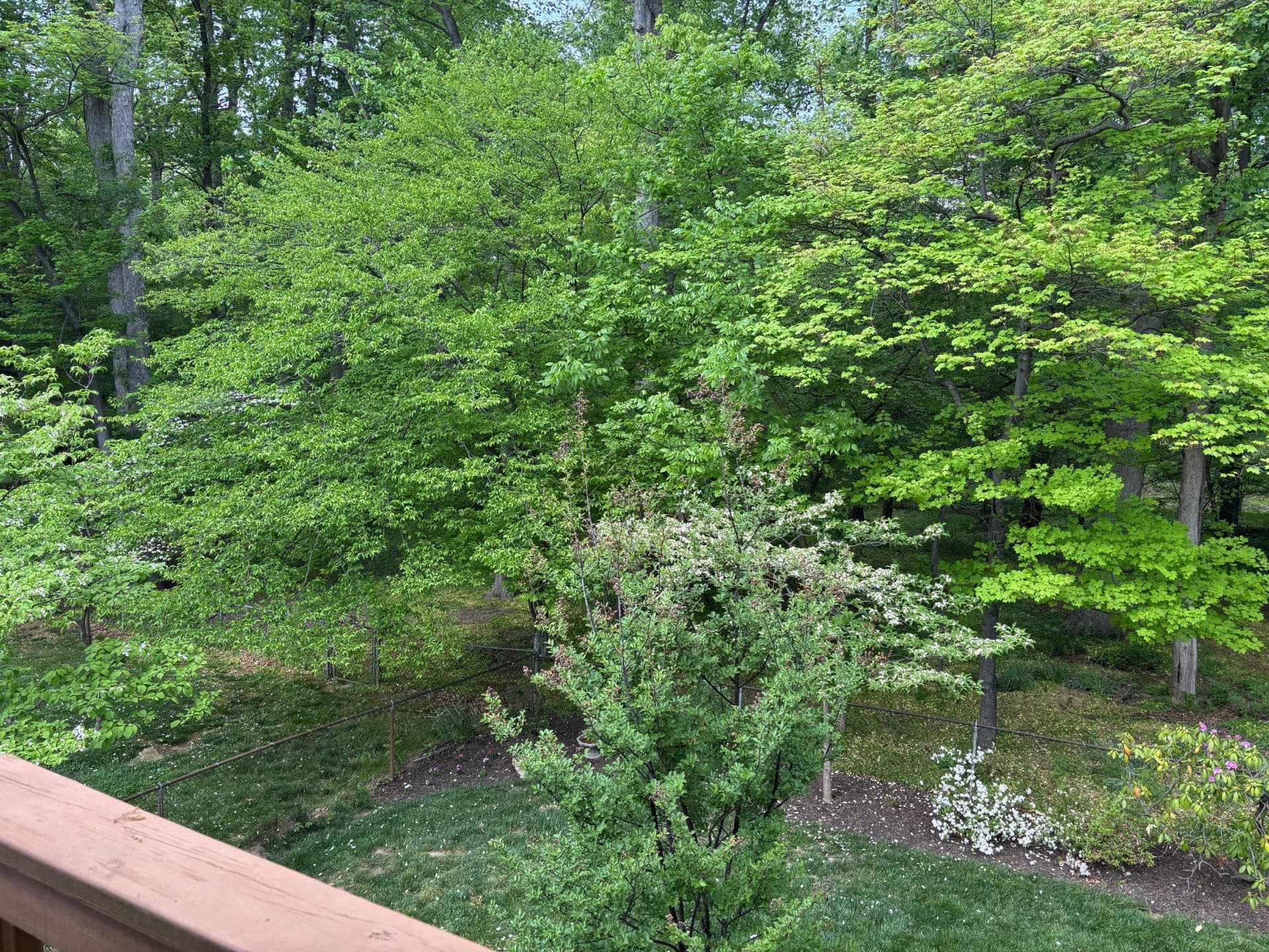 8722 Higdon Drive photo 43