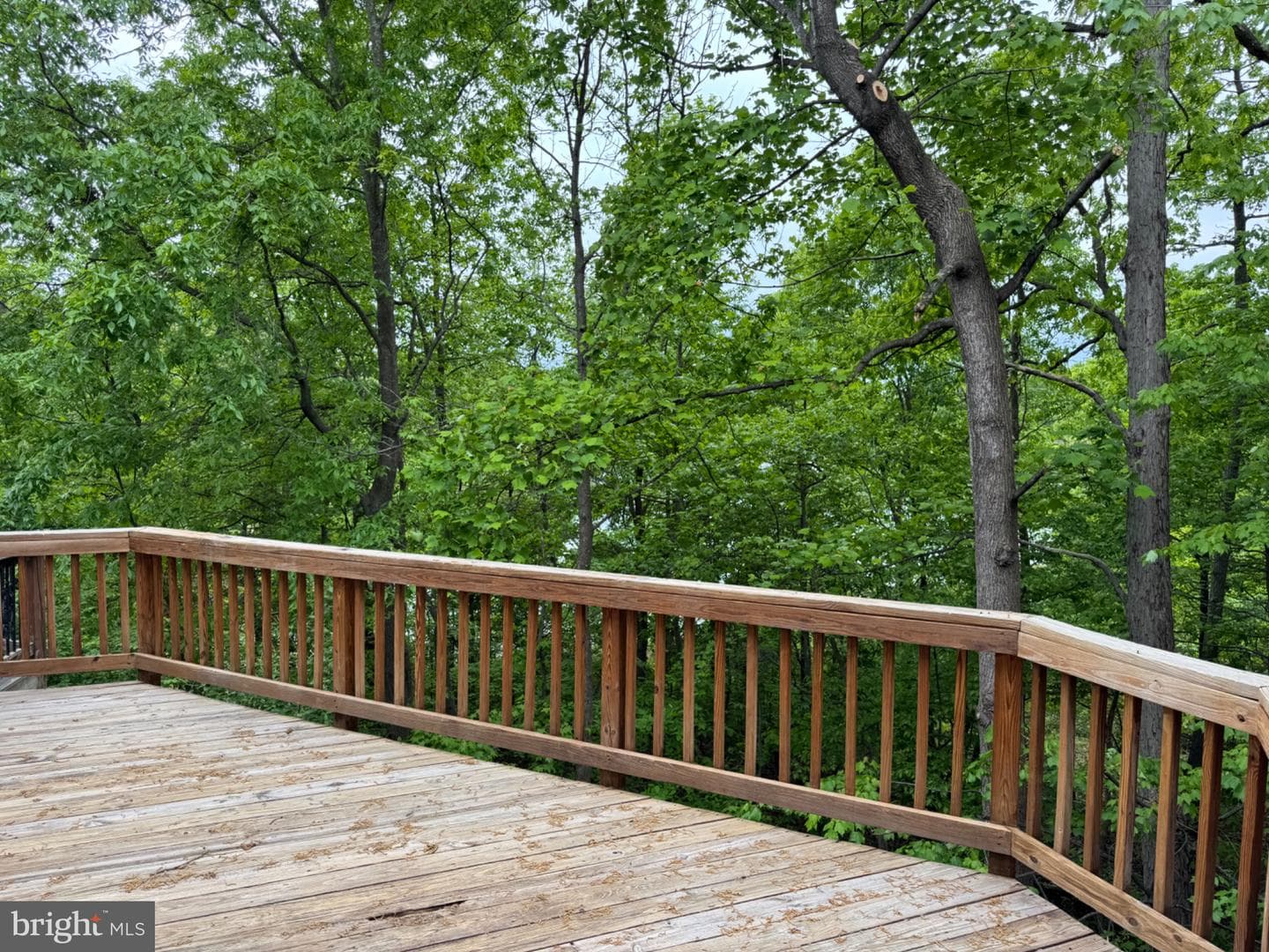 12880 Fair Valley Court photo 36