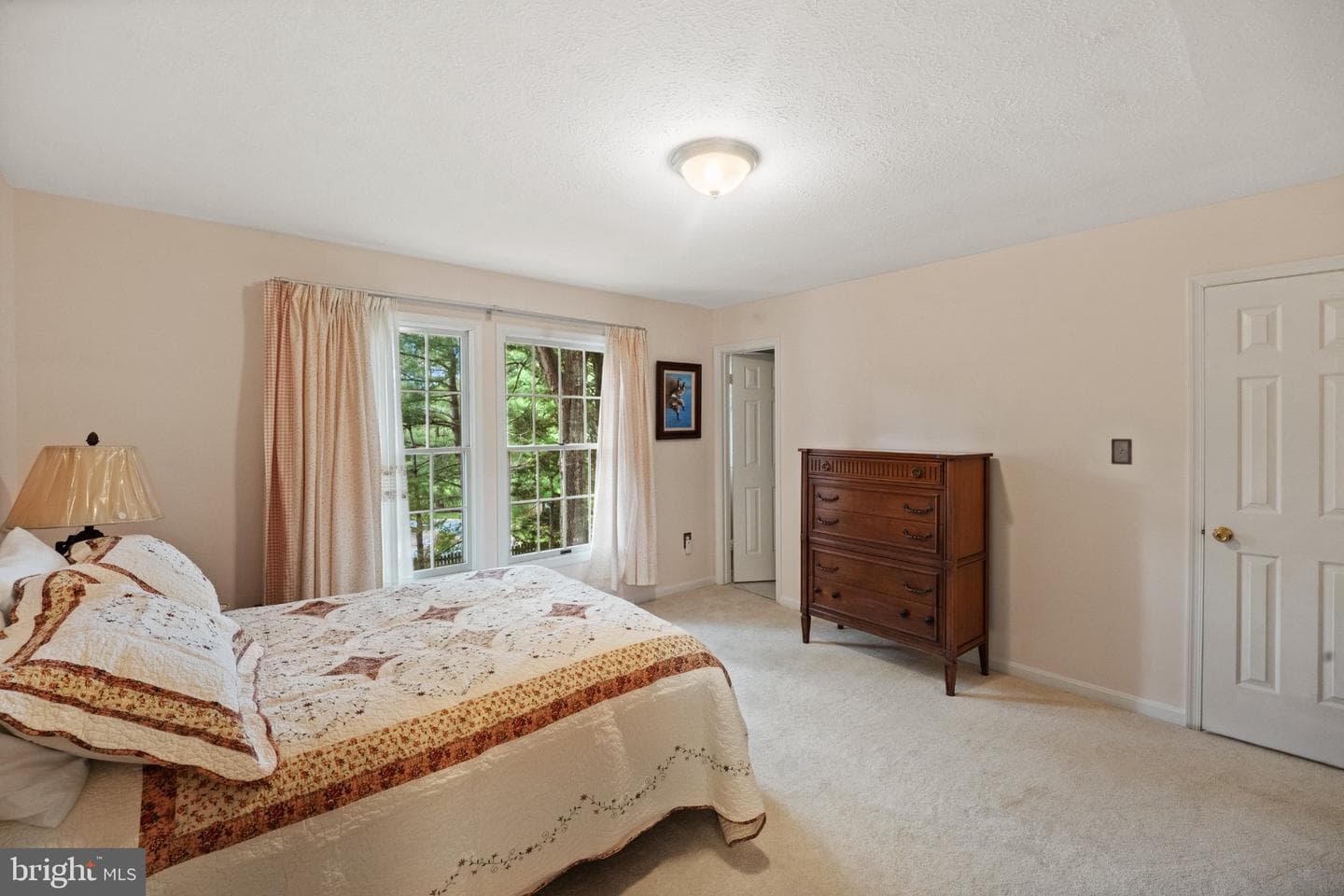 5600 Braddock Farms Way photo 40