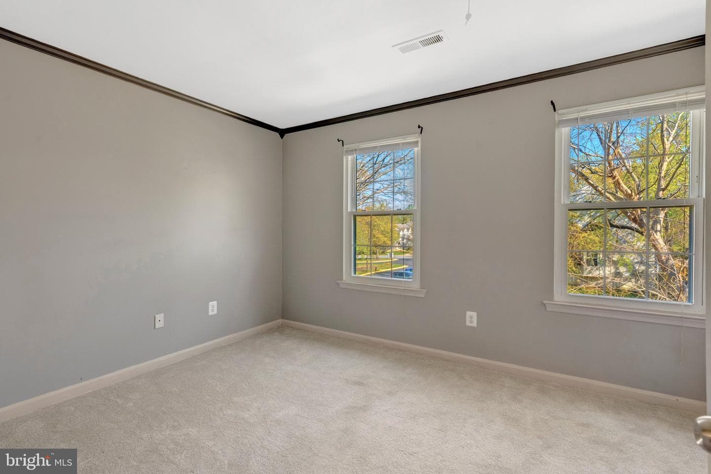 5680 White Dove Lane photo 13