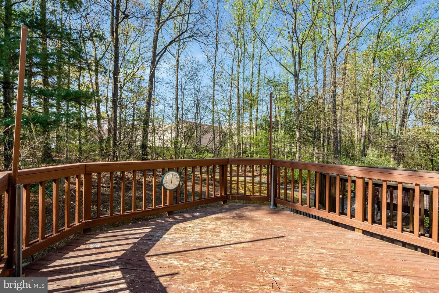5680 White Dove Lane photo 20