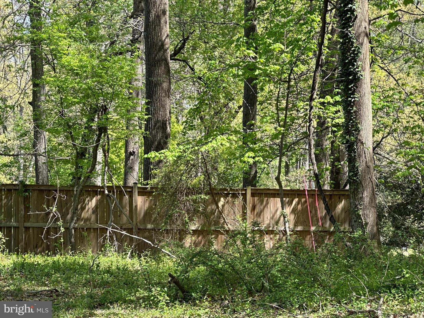6001 Evergreen Trail photo 4