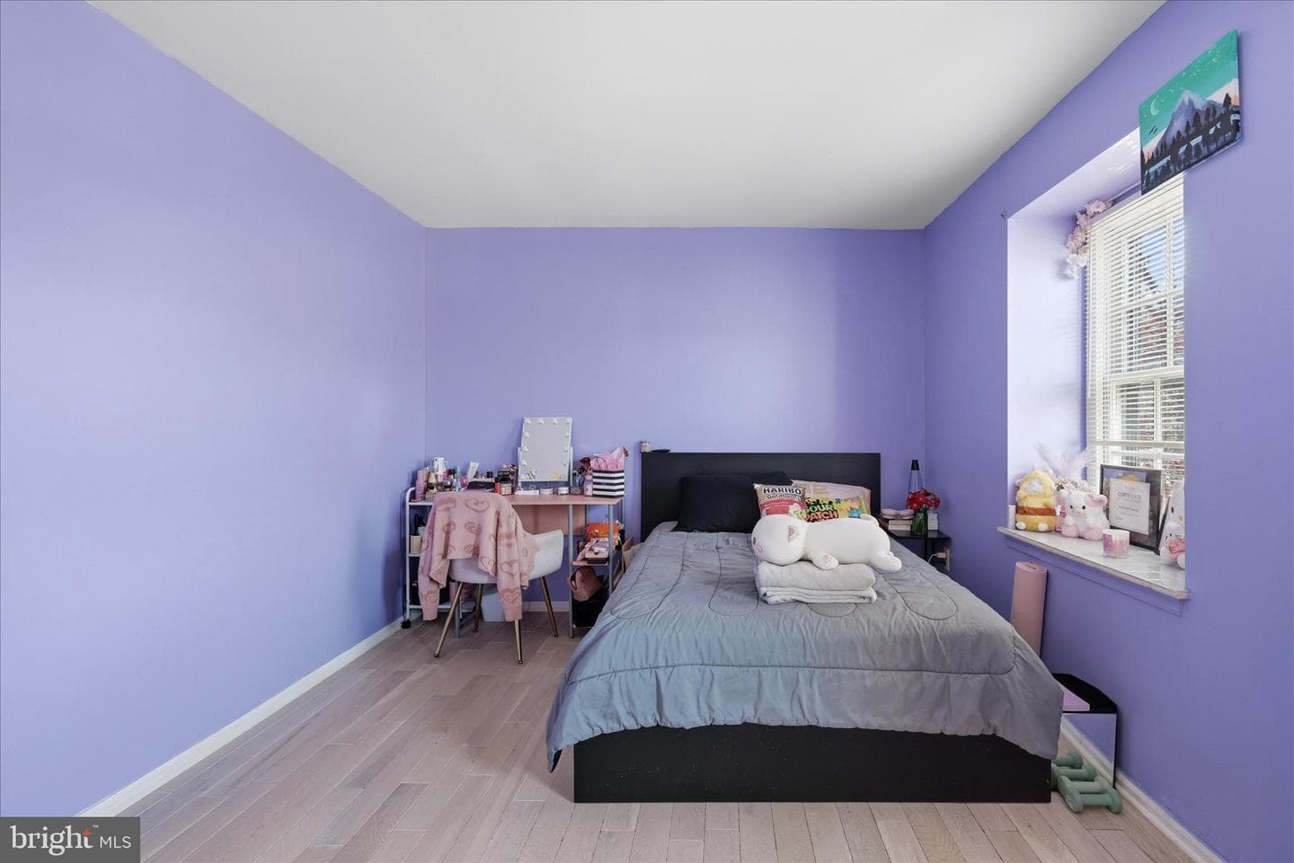 14434 Salisbury Plain Court photo 10
