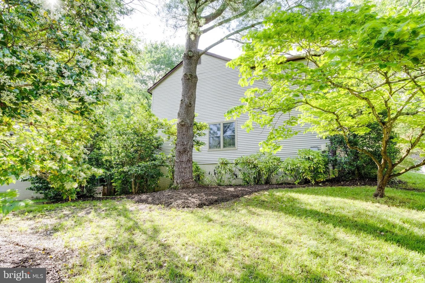 9202 Dorothy Lane photo 61