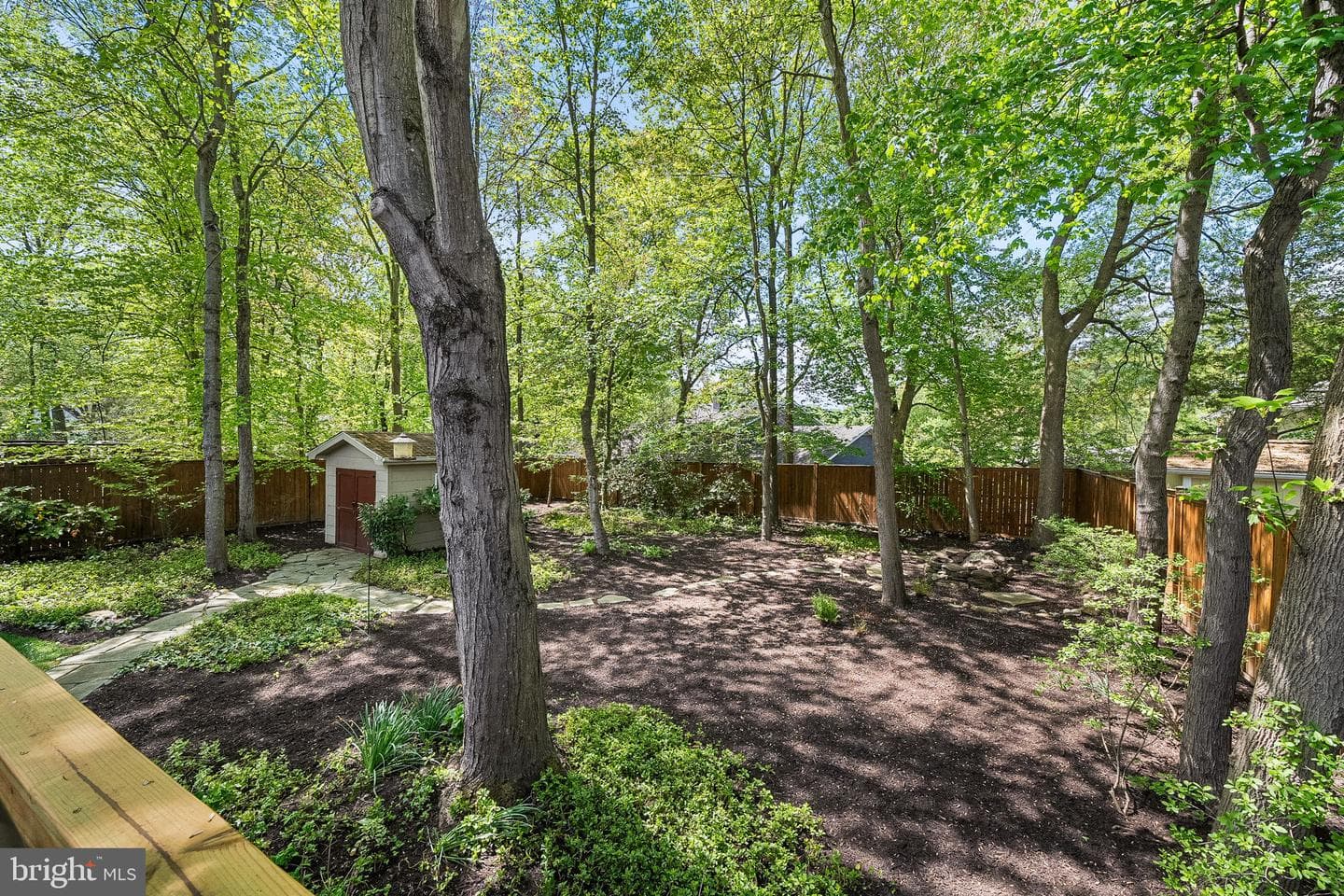 8408 Brewster Drive photo 7