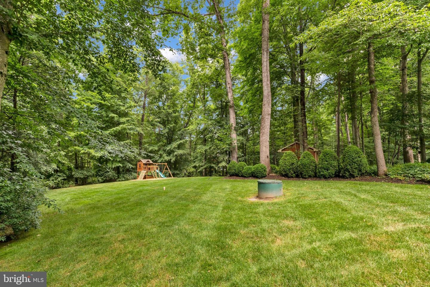 8600 Cathedral Forest Drive photo 94