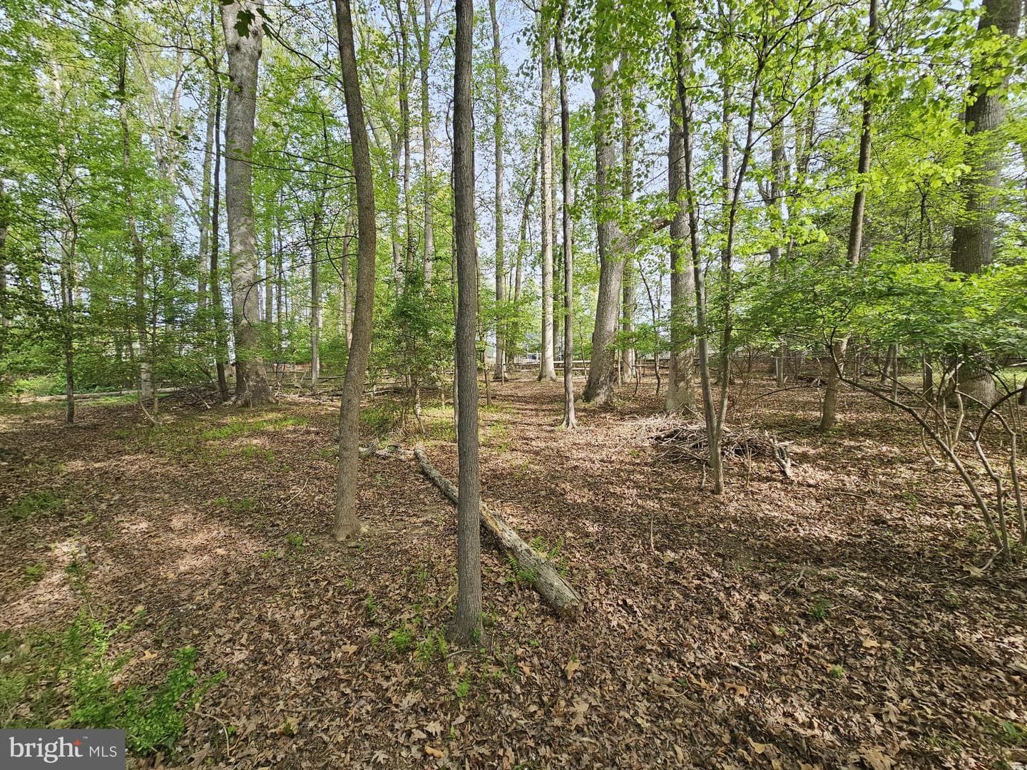 117 Kingsley Road SW photo 4