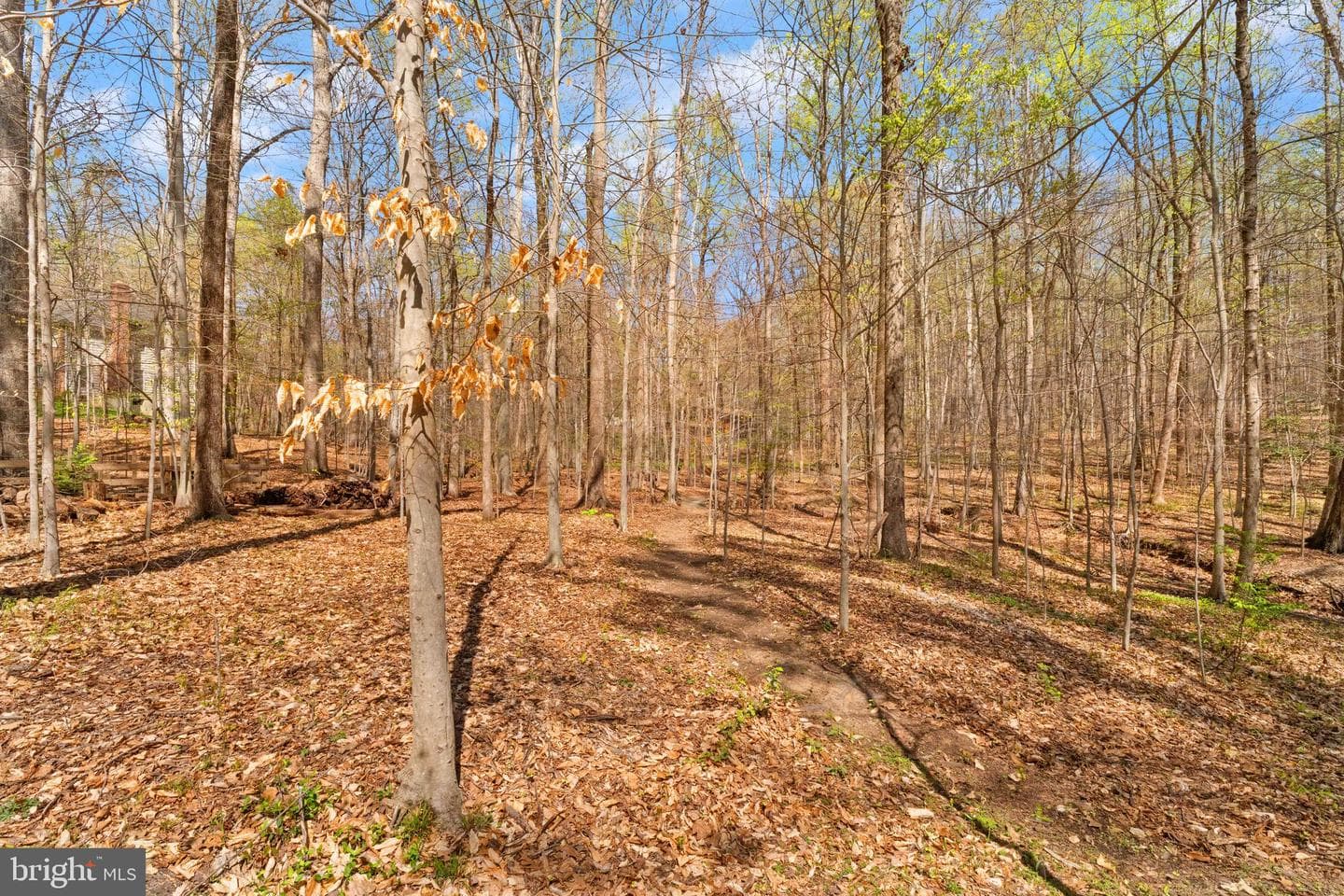 6823 Brimstone Lane photo 93
