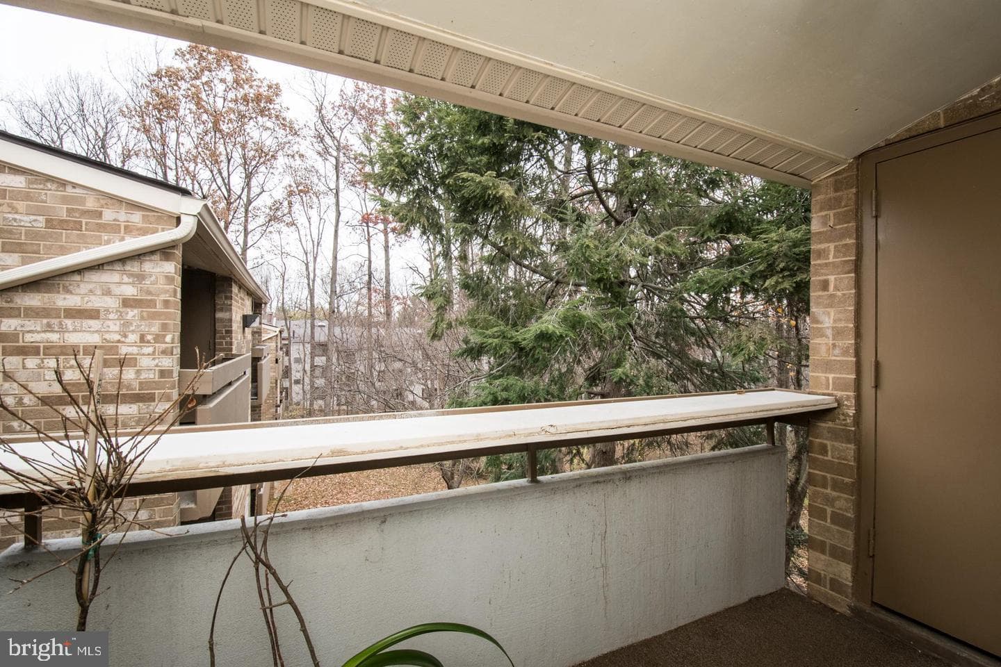 2311 Freetown Court #19/21c photo 3