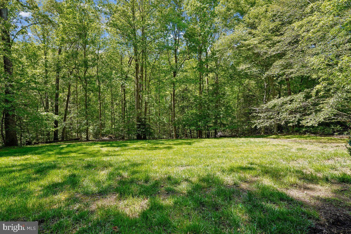 188 River Park Drive photo 6
