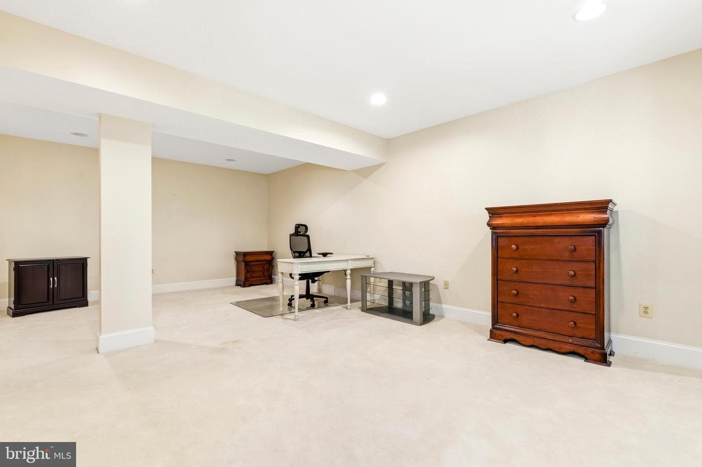 11102 Prince Edward Court photo 79