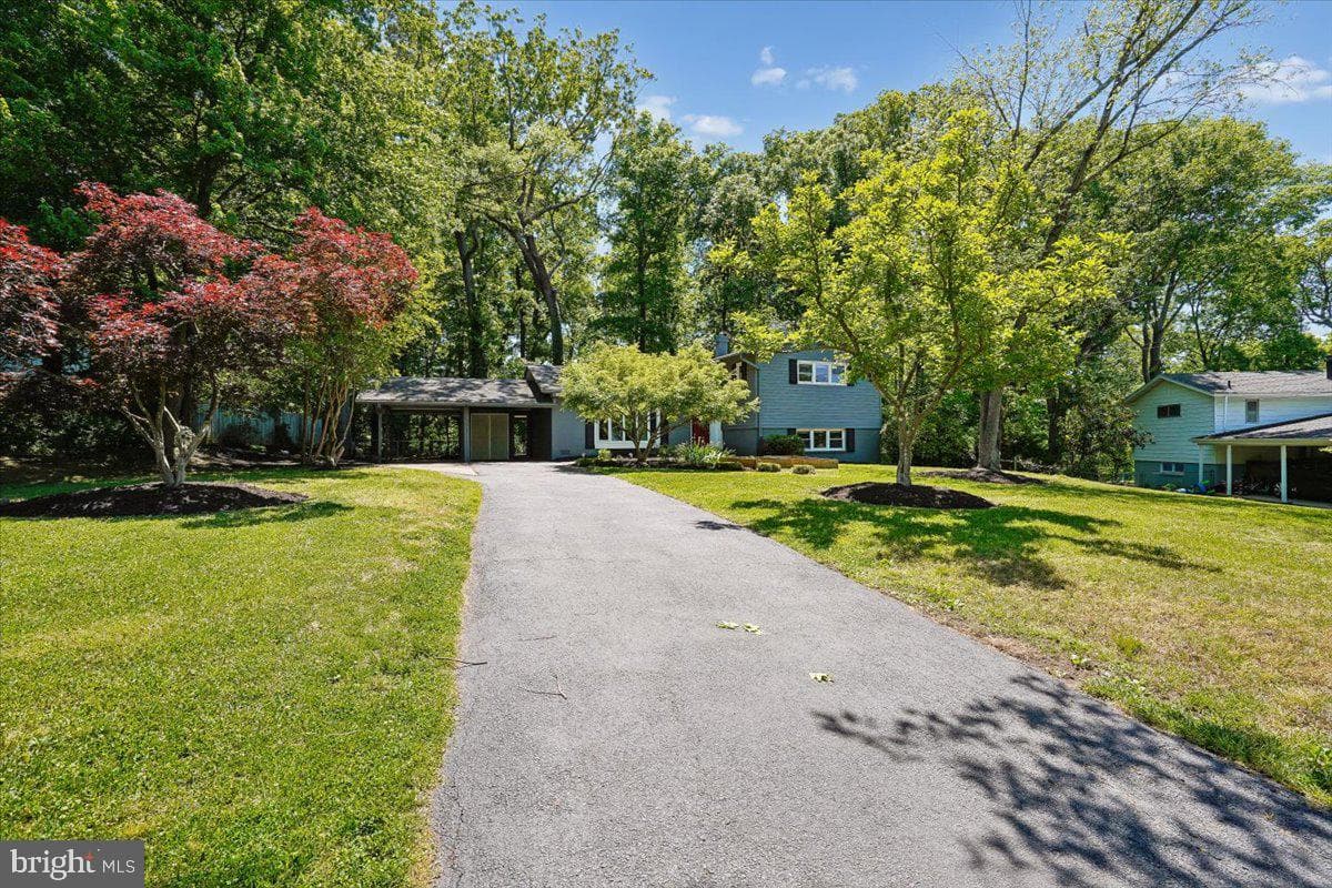 4207 Adrienne Drive photo 3