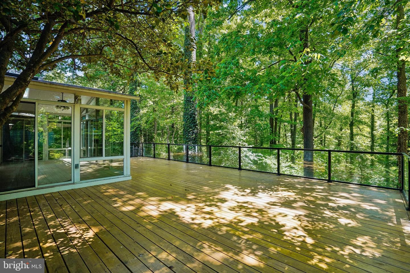 4207 Adrienne Drive photo 56