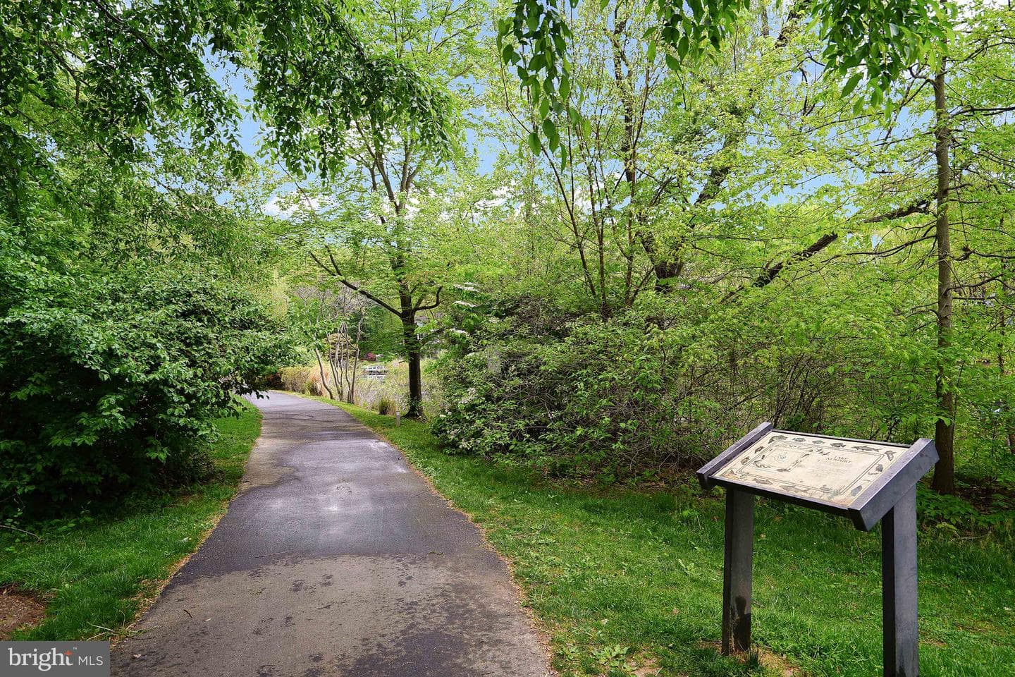11538 Hemingway Drive photo 39