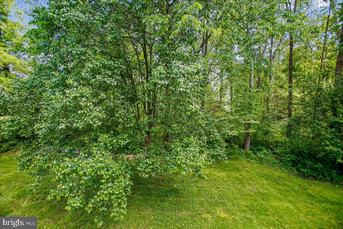 14408 Rockymount Court photo 45