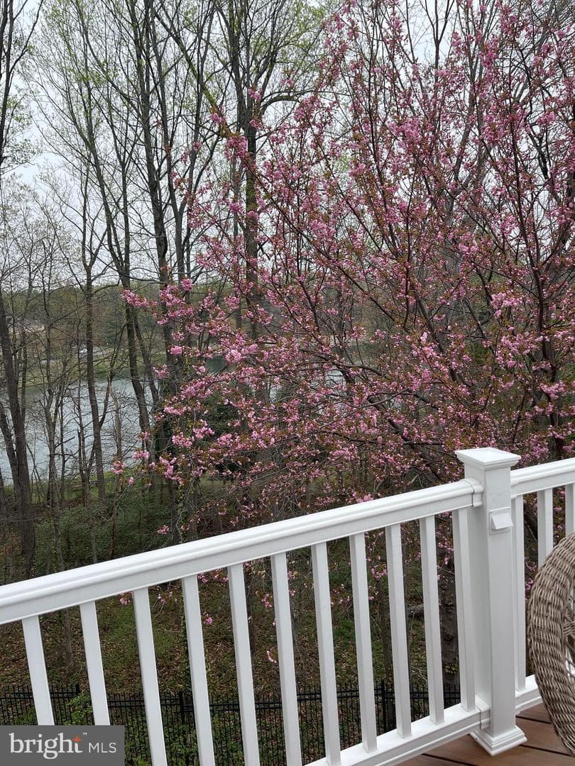 7046 Mundy Point Court photo 42