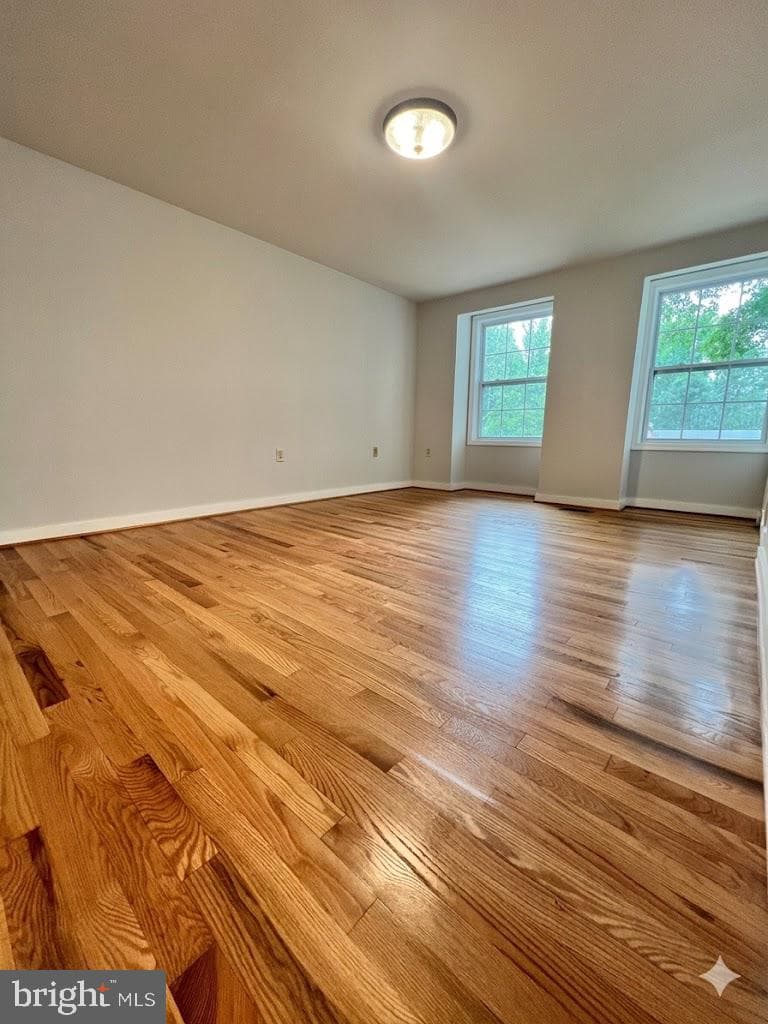 2283 Dosinia Court photo 15