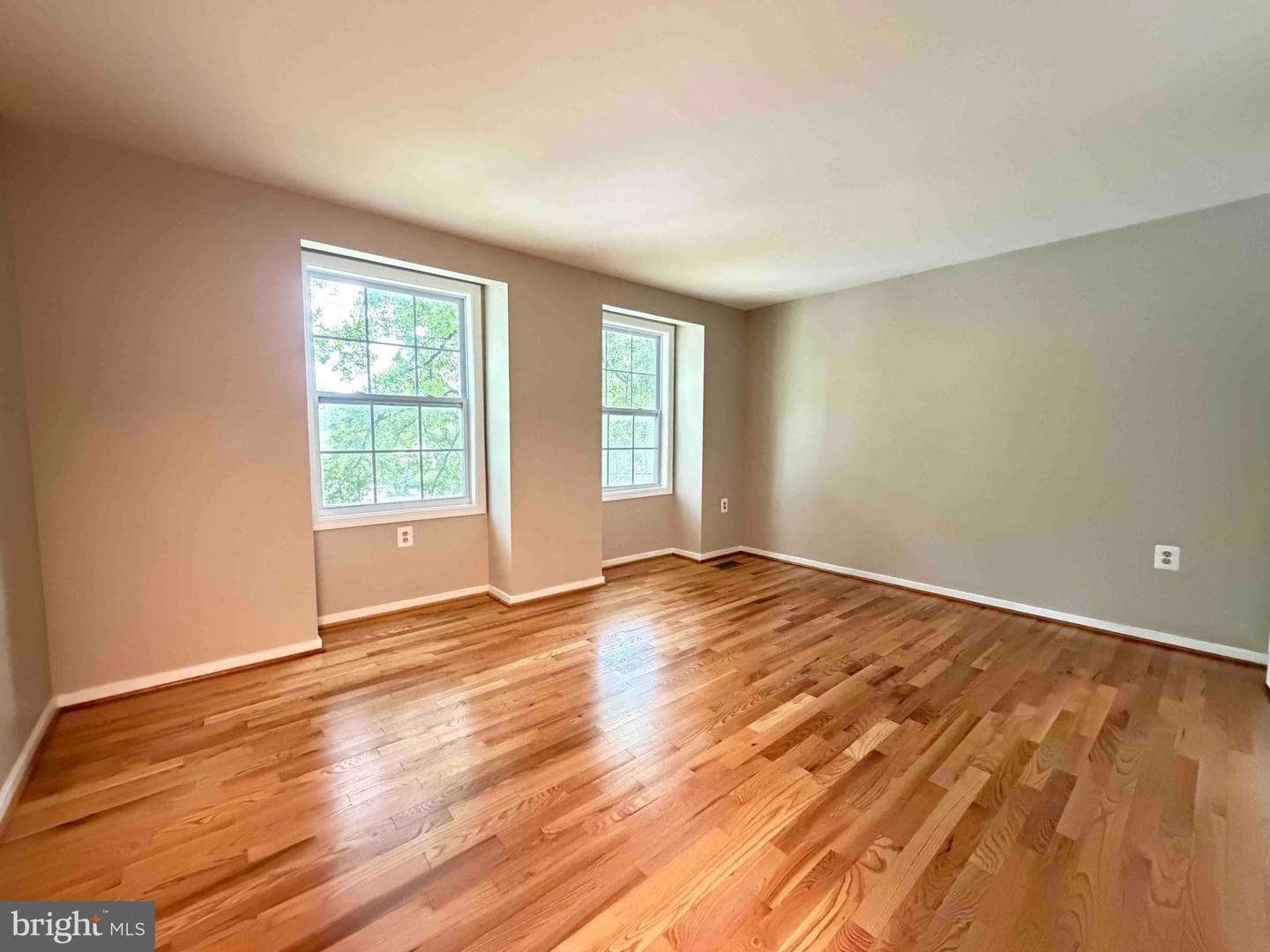 2283 Dosinia Court photo 19