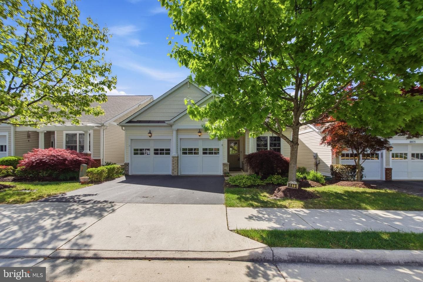 8873 White Orchid Place photo 2