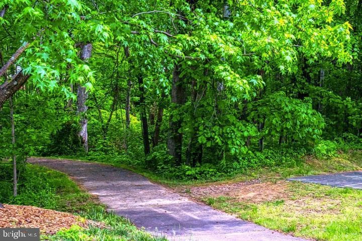 11711 Summerchase Circle photo 62