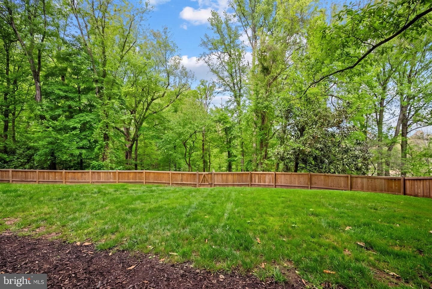 1507 Night Shade Court photo 4