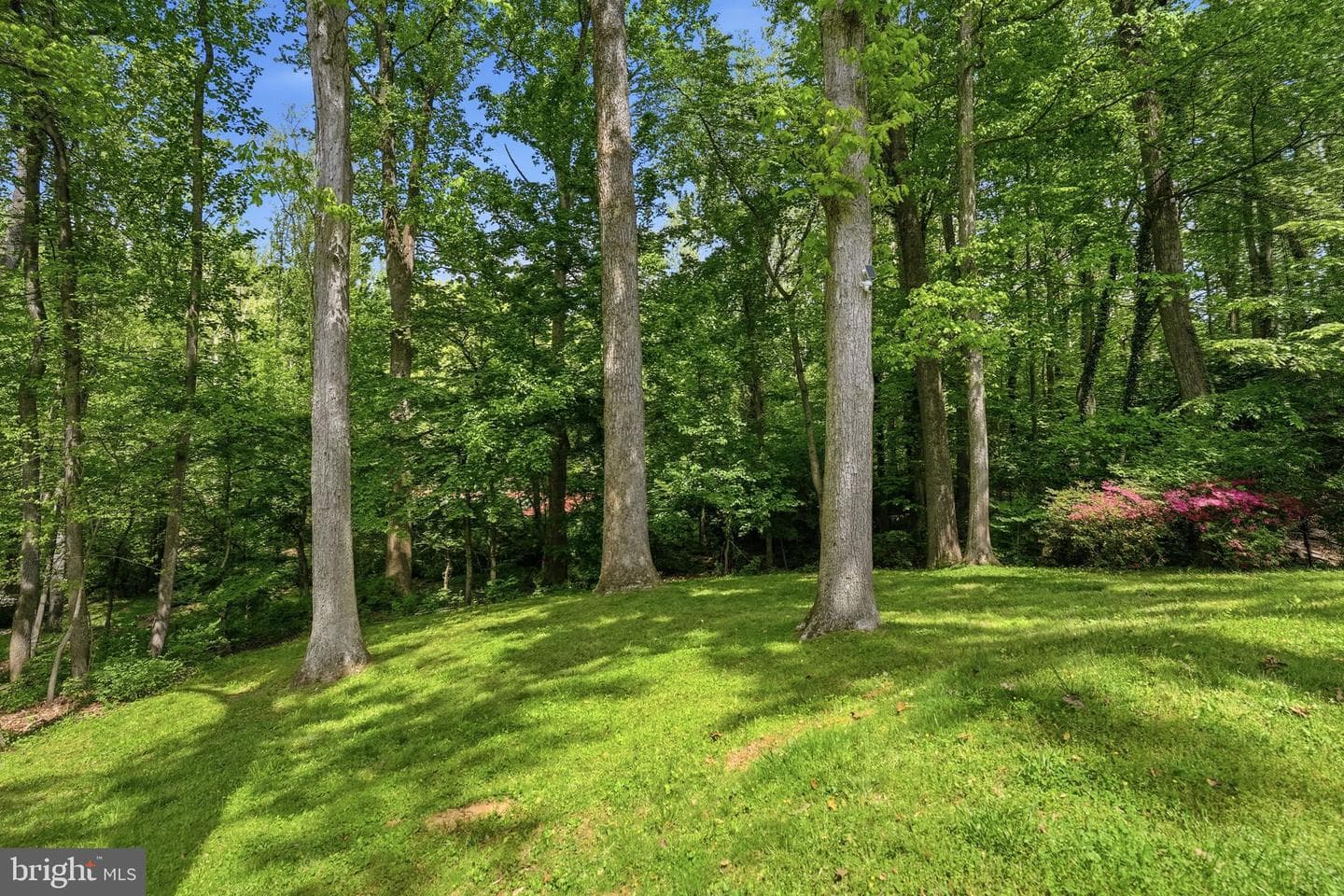 969 Spencer Road photo 47