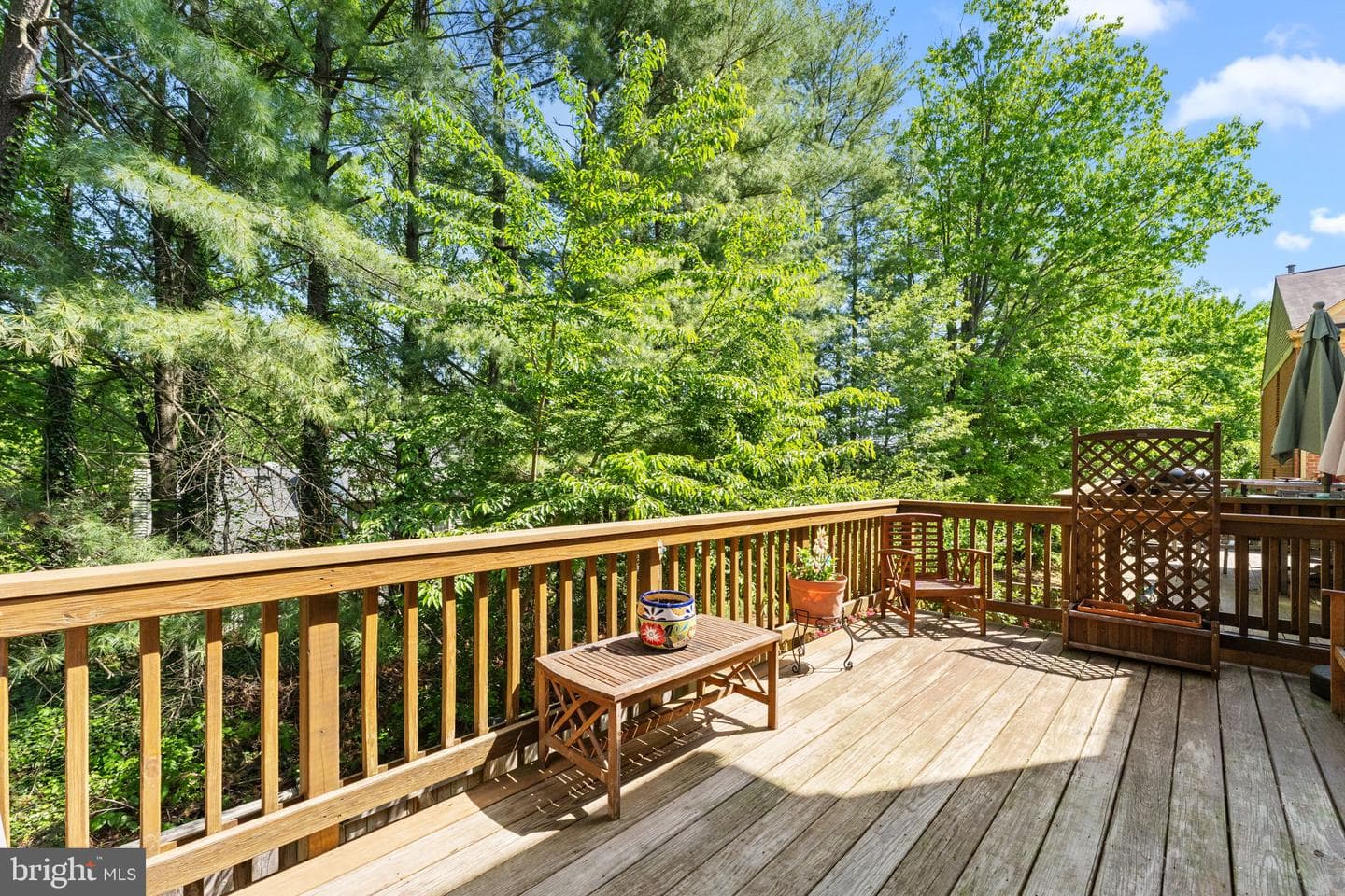 7027 Solomon Seal Court photo 17
