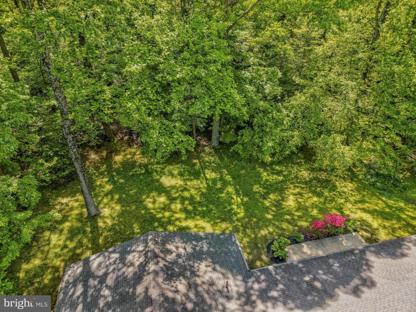 12009 Canter Lane photo 62