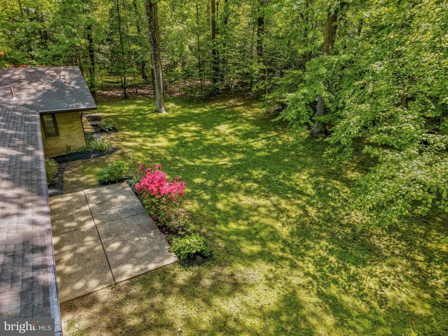 12009 Canter Lane photo 63