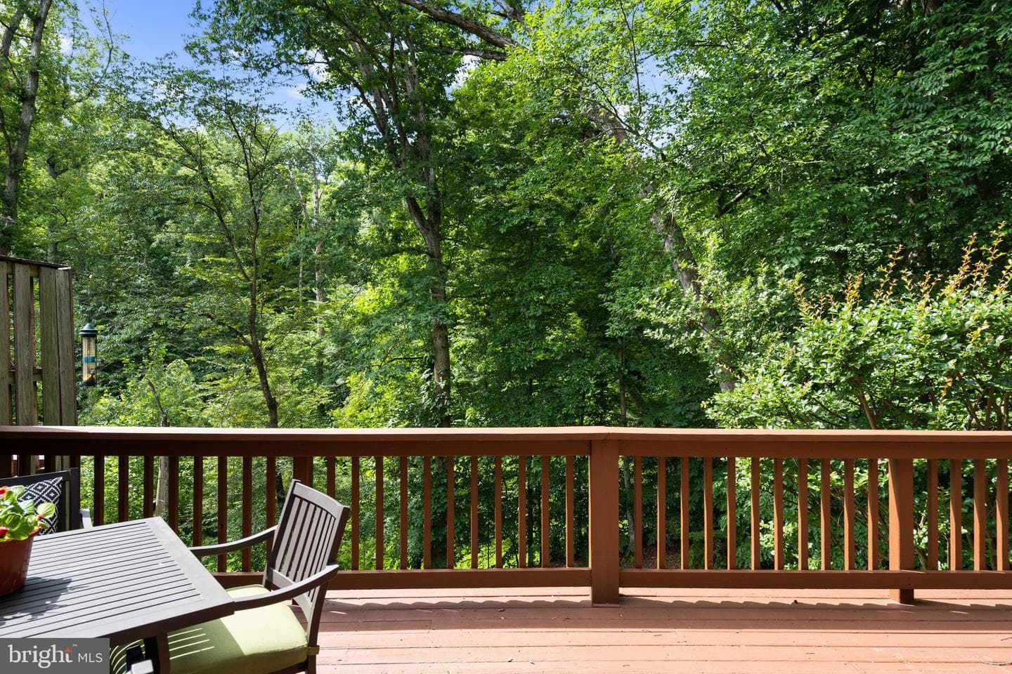 8943 Park Forest Dr photo 32
