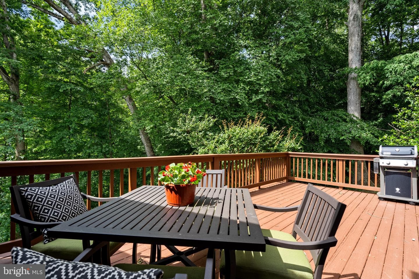 8943 Park Forest Dr photo 33