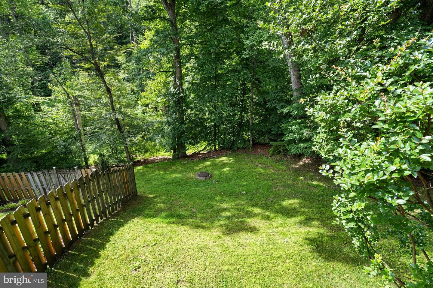 8943 Park Forest Dr photo 36