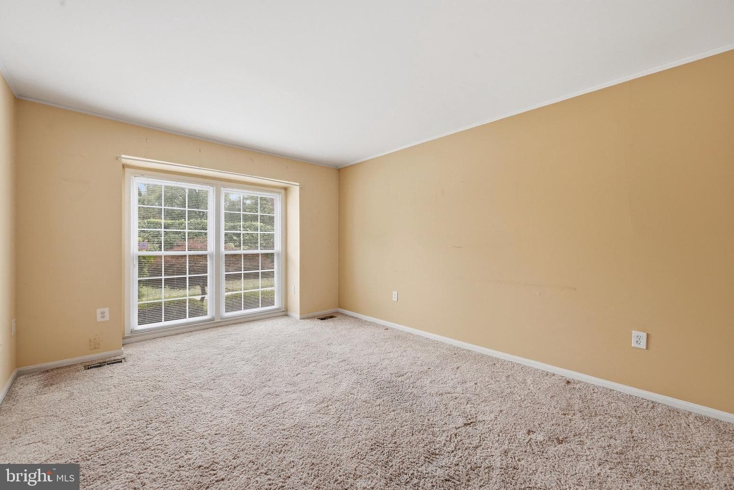 9937 Whitewater Drive photo 15