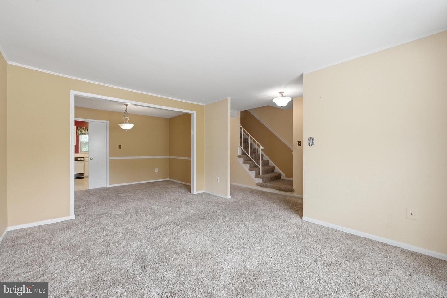 9937 Whitewater Drive photo 16