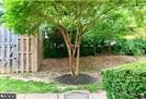 3330 Spring Lane #d-10 photo 5