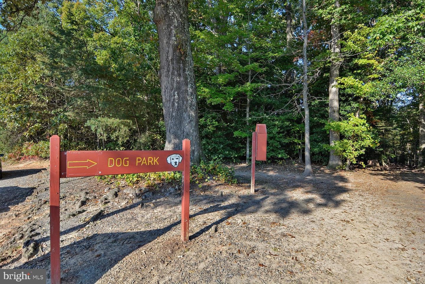 8002 Log Cabin Court photo 61