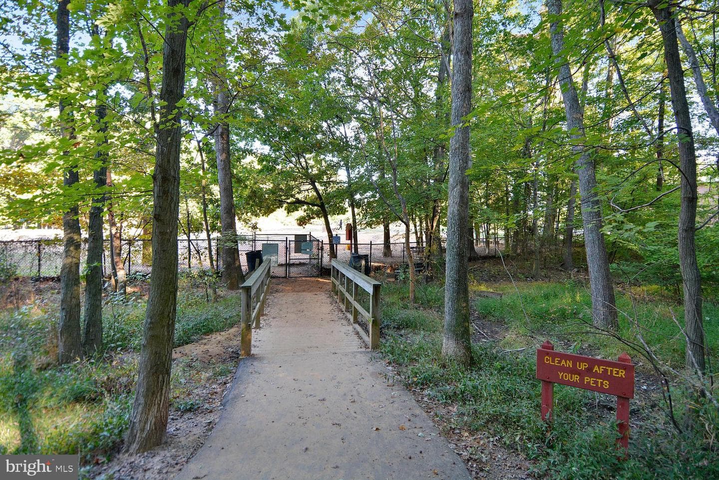 8002 Log Cabin Court photo 63