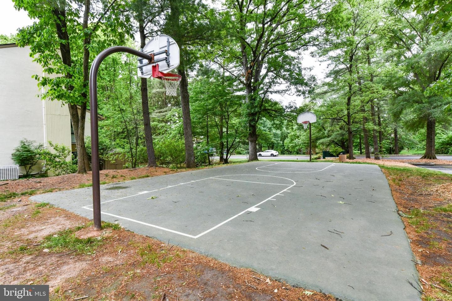 11701 Newbridge Court photo 58
