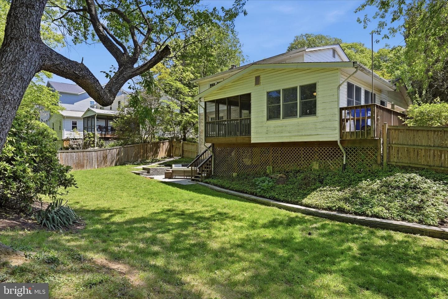 312 Broadleaf photo 45