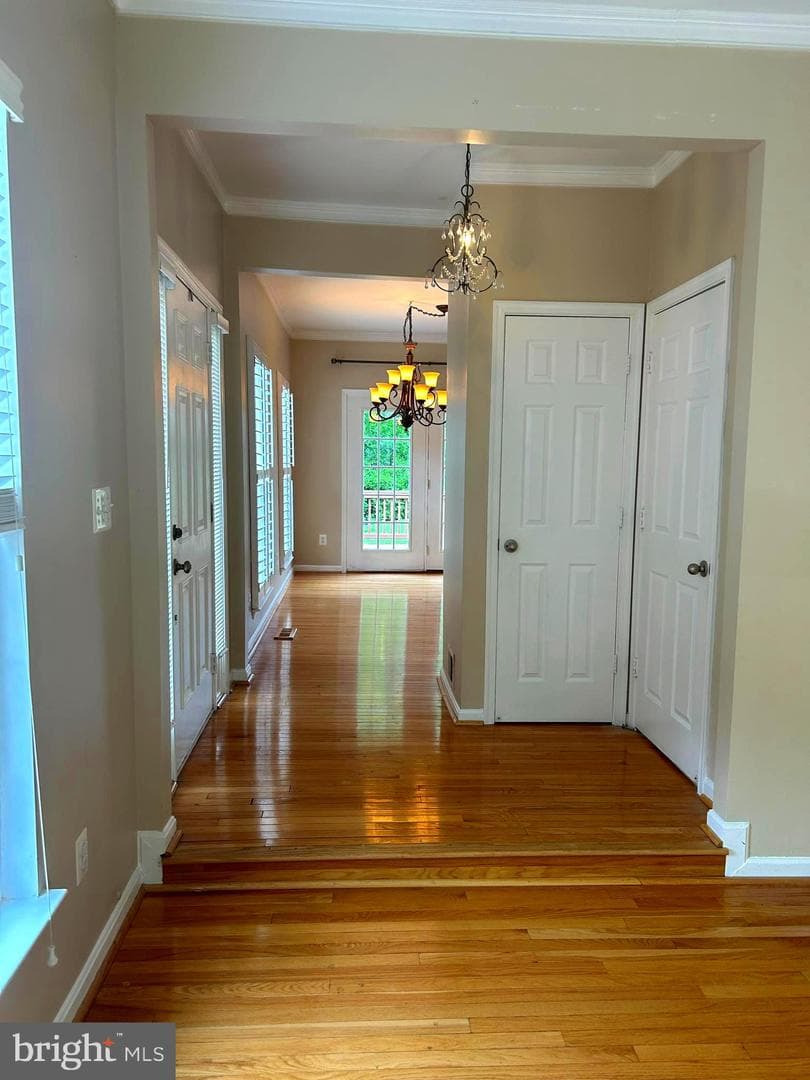 4658 Buckhorn Rdg photo 10