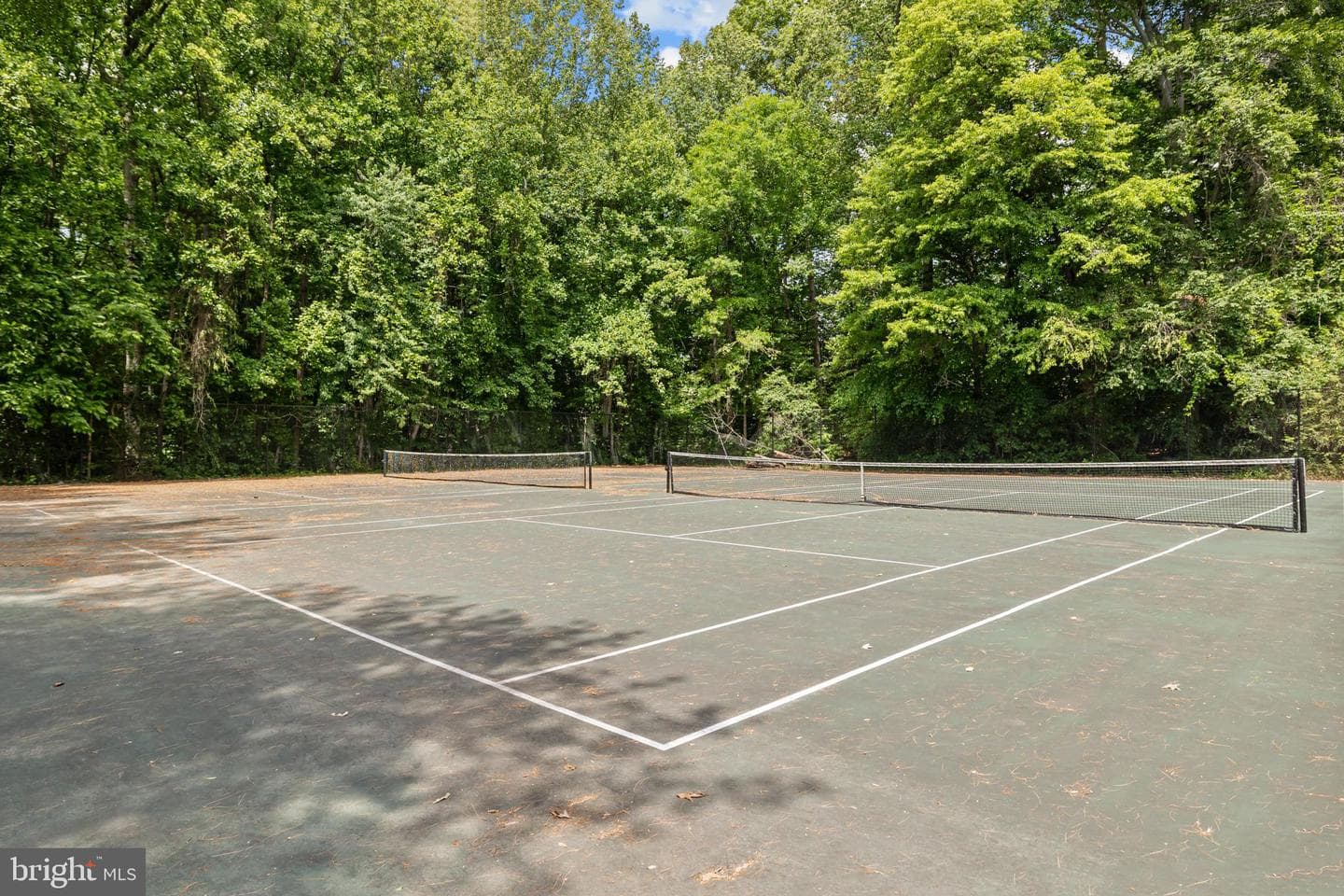 7771 Durer Court photo 56