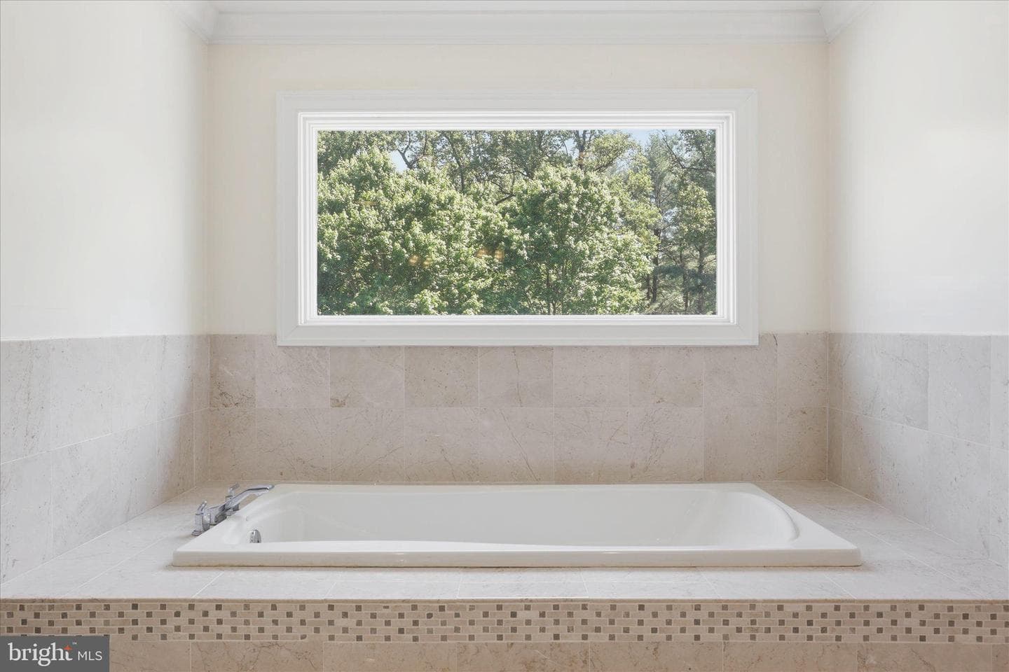 10911 Belgravia Court photo 59