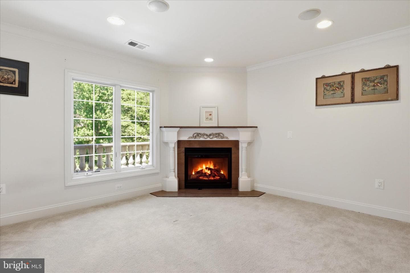 10911 Belgravia Court photo 66