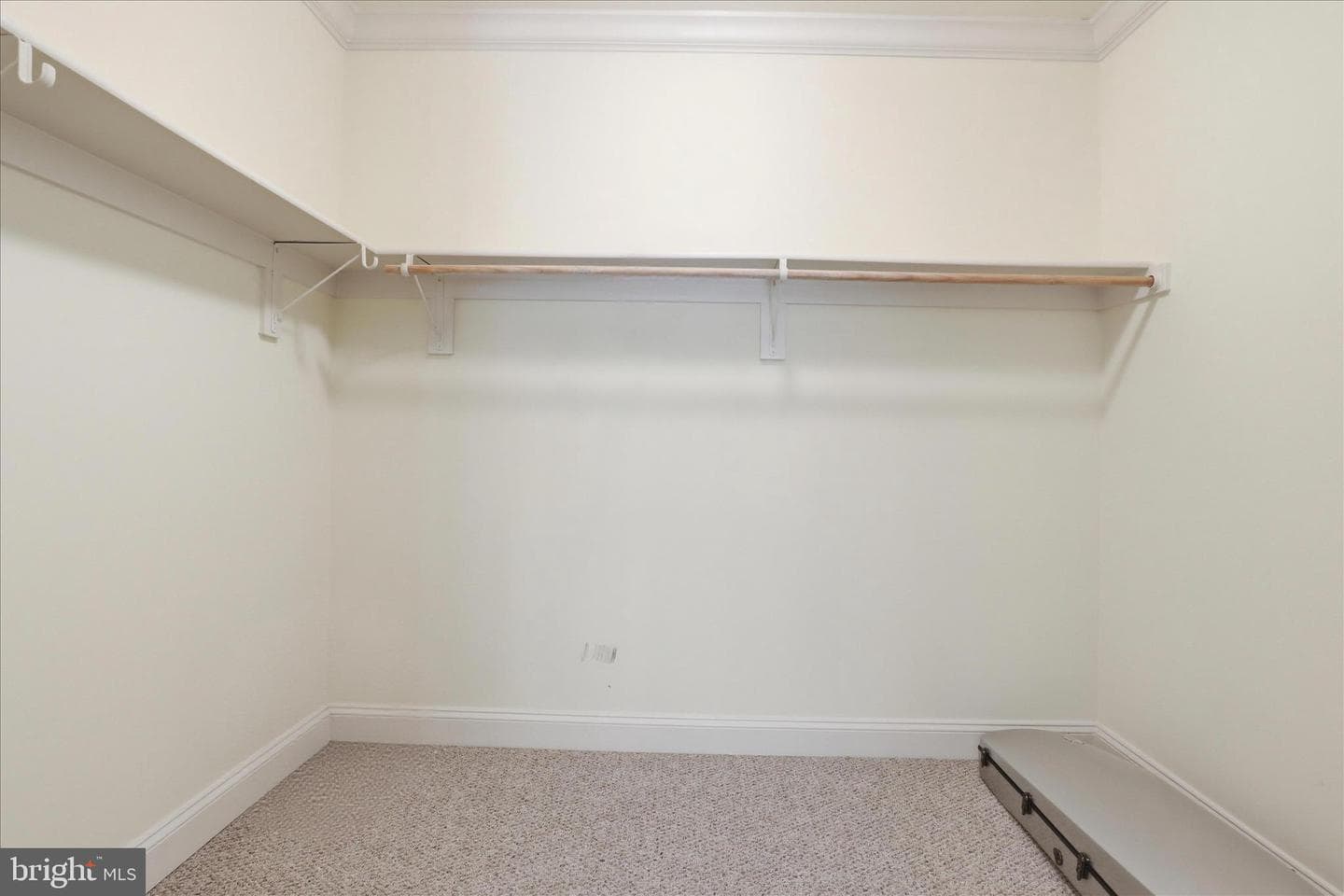 10911 Belgravia Court photo 96